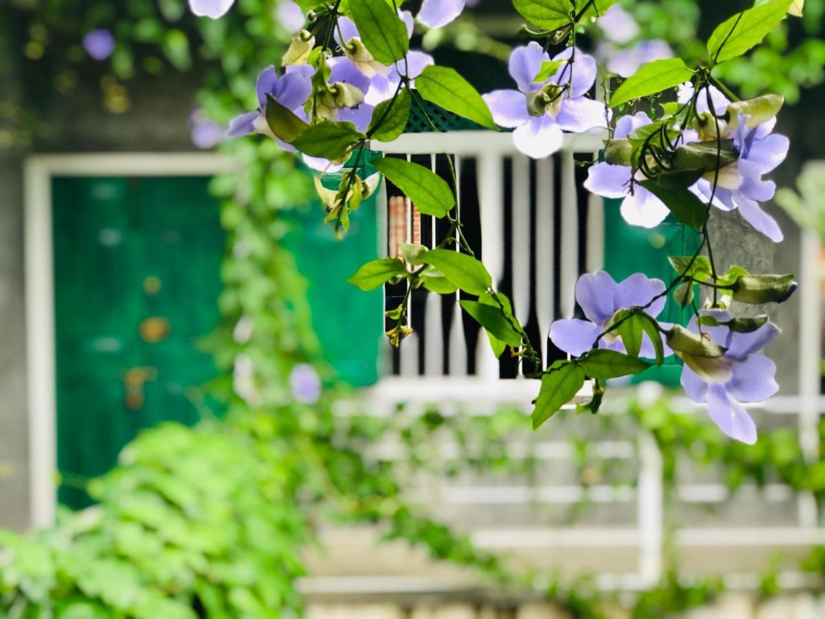 More Joy Matara Exterior foto